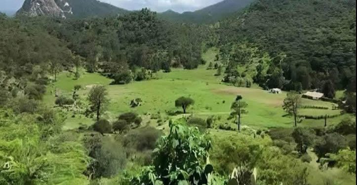 Rancho El Metate, Ejido Mulatos, Sahuaripa, Sonora — the land the Hurtado Rivera family has occupied since 1972